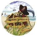 Pirate 18 Inch Mylar #72